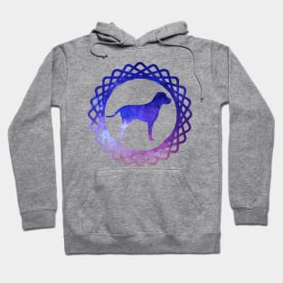 Galaxy dog Hoodie